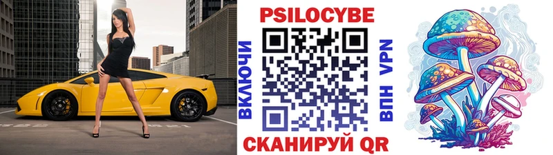 наркота  Рудня  Галлюциногенные грибы Psilocybe 
